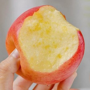 [특가행사] 고당도 산지직송 부사사과 꿀사과, 1개, 2kg