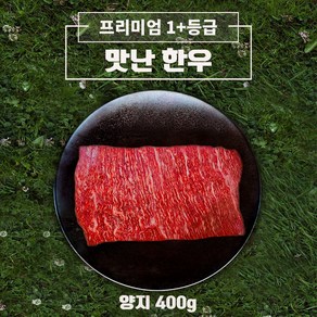 [국내산 1+등급 한우 양지] 깊고 진한 풍미! 국물 요리의 황금재료 맛난한우, 1개, 400g