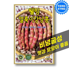 얼룩이 강낭콩 씨앗 (30g) 비넝굴성 강낭콩 씨 종자 키우기