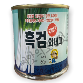 대파씨앗80g 1홉대파종자전문가용 영리용대파씨앗 제농, 1개