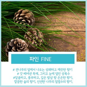 네이처 프래그런스 오일 파인 소나무향 FINE