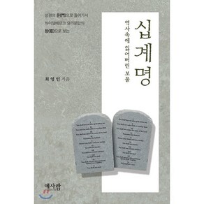 십계명 : 역사속에 잃어버린 보물 : 성경의 문으로 들어가서 하이델베르크 요리문답의 창으로 보는, 민영사, 최영인 저