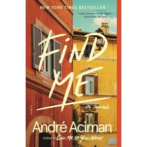 Find Me:A Novel