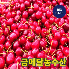 금메달농수산 항공직송 고당도 생체리, 1개, 500g (대과 10R)