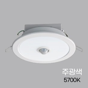 그린티 다운라이트LED 매입센서등비상6인치20W국산 주광색, 1개