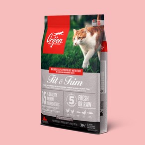 오리젠 어덜트 피트 앤 트림 캣 건식사료, 닭, 5.4kg, 1개
