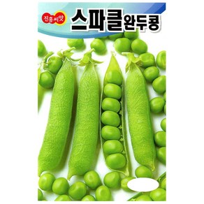 진흥씨앗 스파클 완두콩 종자 50g - 상품성이 높은 우수 품종 생육이 빠른 다수확 품종, 1개