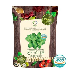 푸른들판 국내산 곤드레 분말 가루 100% haccp 인증, 100g, 1개