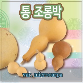 전통 통조롱박/박바가지/천연 조롱박/전통소품/통박, M.둘레 약20cm x 높이 약12m