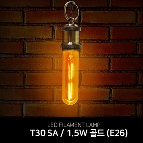 LED 에디슨 전구 모음 / LED 백열전구 / 볼구 촛대구, 1개