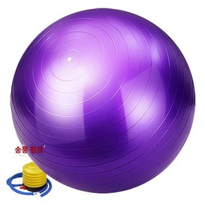 PVC 짐볼 85cm 피트니스 공 요가 헬스장 필라테스 홈트, A. 퍼플
