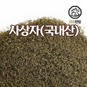 대흥한방 사상자 300g 국내산, 1개