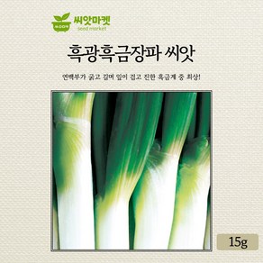 KS종묘 흑광흑금장 대파 씨앗 15g 연백부가 굵고 길며 잎이 검고 흑금계 중 최상급인 내병계 우수 품종, 1개