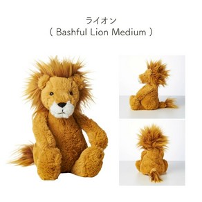 젤리켓 Jellycat Bashfuls M사이즈 31cm 키덜트 인형 일본정품, 라이온 M, 1개