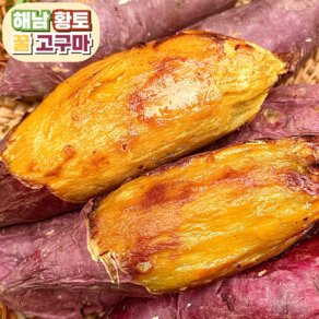 [산지직송] 베니하루카 해남황토 꿀고구마 비세척, 1개, 2kg(한입) 20g-60g