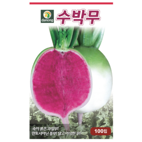 다농 수박무 씨앗 100p