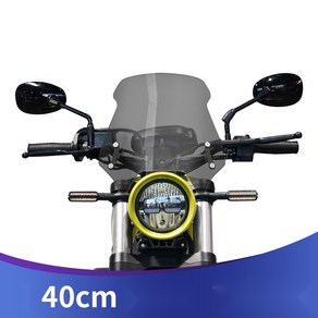 GV300S 아퀼라300S 튜닝호환 윈드가드 실드 윈드 스크린, 스모크 40cm 두께4mm, 1개