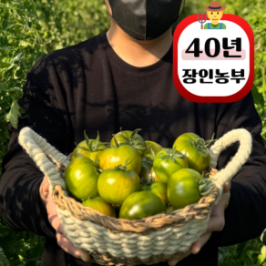 농부백서 산지직송 대저토마토 짭짤이 토마토 2.5kg, 1박스, 2.5kg (대과 L)