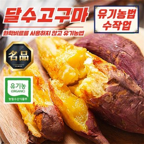 무안 유기농 햇고구마 꿀 달수고구마 KG 별 옵션, 무안 유기농 달수고구마 보통 5kg, 1개, 보통 5kg