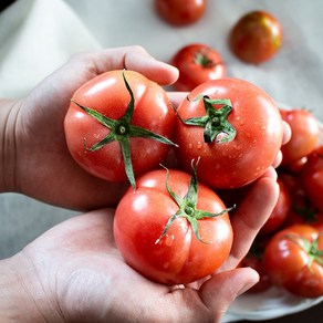 꿈꾸는농부 최상품 완숙 토마토