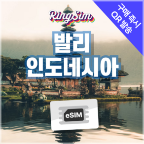 인도네시아이심 e심 발리 자카르타 esim 유심 링심, 1개, 매일 500MB, 1일