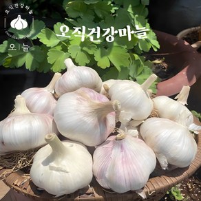 국내산 안깐마늘 대서통마늘 1kg / 3kg, 대서마늘 1kg, 1개