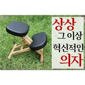 윈디 바른자세교정의자/척추교정의자/WINDY HEALTH STANCE CHAIR