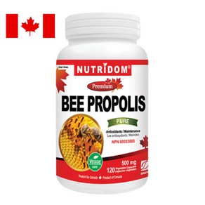 뉴트리돔 캐나다 비 프로폴리스 Bee Popolis 500mg 120캡슐 N133, 120정, 0.5g, 0.5ml, 1개