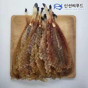 통마리 아귀포