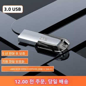 2TB USB 3.0 초고속 대용량 메모리, 1개