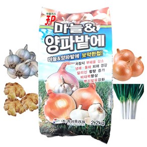 김장채소 마늘 양파 생강 파 쪽파 밭 비료 유황 소독 밑거름 웃거름 미량요소 복합비료 2.2kg 토양소독 기비제 추비 텃밭 비료 붕소 붕사 주말농장 영양제 +계량수저 식물푯말세트