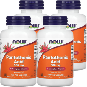 나우푸드 판토텐산 NOW Pantothenic Acid 500mg 식물성, 100정, 4개