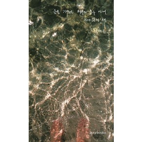 슬픈 기억은 행복의 홍수 아래 가라앉게 해:, 레이지북(Lazy books), 이채은 저