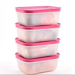 타파웨어 냉장 냉동 보관 도시락통 450ml 4종세트 스노우섀도우 과일 채소 밀폐용기 Tupperware