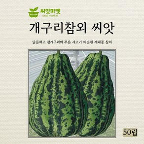 아람종묘 개구리참외 씨앗 50립, 1개