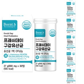 본트비 프레쉬데이 구강유산균 27g