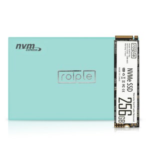 디오테라 NVMe SSD, 256GB, Roiple Ray