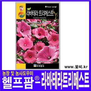 헬프팜 라바테라트리메스트 300립 꽃씨 종자 씨앗, 1개