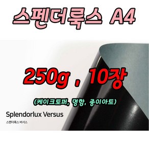 스펜더룩스 버서스 10장 케이크토퍼 종이 A4 250g