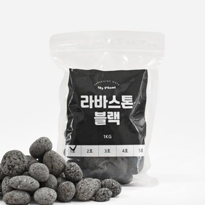 마이플랜트 라바스톤 블랙 소포장, 1호(20~30mm), 5kg, 1개