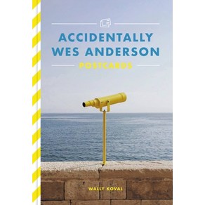 (영문도서) Accidentally Wes Andeson Postcads Novelty, Voacious, English, 9780316450539