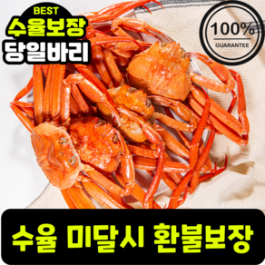 [홍게의명장] 프리미엄 품질보증 가성비 박달 대게 홍게 선주직송 50%할인, 10개, 박달급 3kg