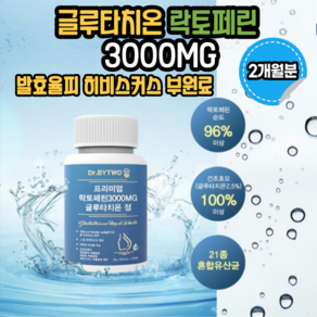 장용성 락토페린 설명 참조 모로 오렌지 글루타치온 발효율피 히비스커스 1000mg 3000mg 4000mg 친절한 살사 스키 아무도 모르게 라진 니랩 살뺀데이 닥터 빼실 다이어트, 60정, 1개