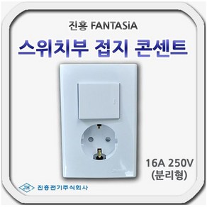 스위치부 접지 콘센트 1구콘 250V 16A 진흥 판타지아, 1개