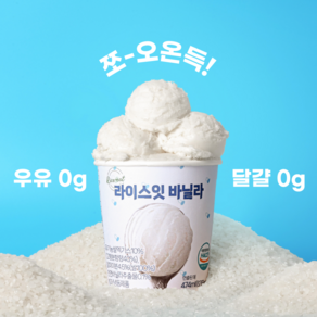 라이스잇바닐라 100% 비건 저당 쌀 아이스크림, 1개, 474ml