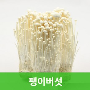 팽이버섯(150gx34봉) 무농약 팽이버섯 싱싱지오