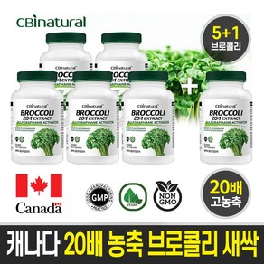 (5+1) 20배 고농축 브로콜리 새싹 500mg 120야채캡슐 설포라판 생성 브로콜리새싹 /캐나다 생산 직발송/캐나다 식약청 GMP NPN인증, 4개