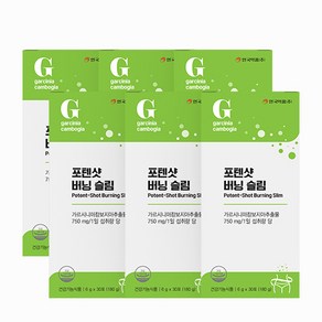 안국약품 포텐샷 버닝슬림 30포 x1박스 / 3박스/ 5박스, 180g, 6개