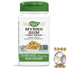 미국산 네이처스웨이 미르 검 1100mg 100정 Myh Gum Tee Resin Natue's Way 선물증정, 1개