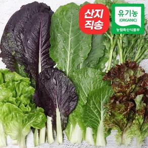 [자연마을] 친환경인증 유기농 당일수확 모듬 쌈 야채 샐러드 상추 모듬쌈